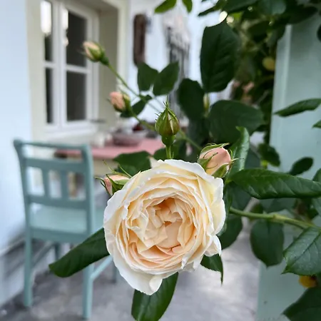 Gartenglueck Appartement